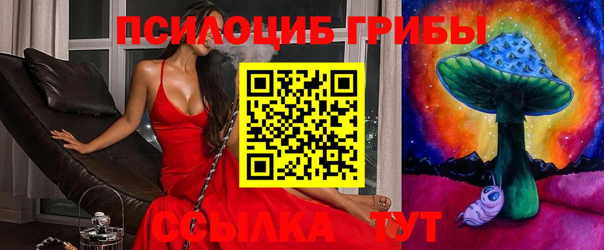 Псилоцибиновые грибы Psilocybine cubensis Тольятти