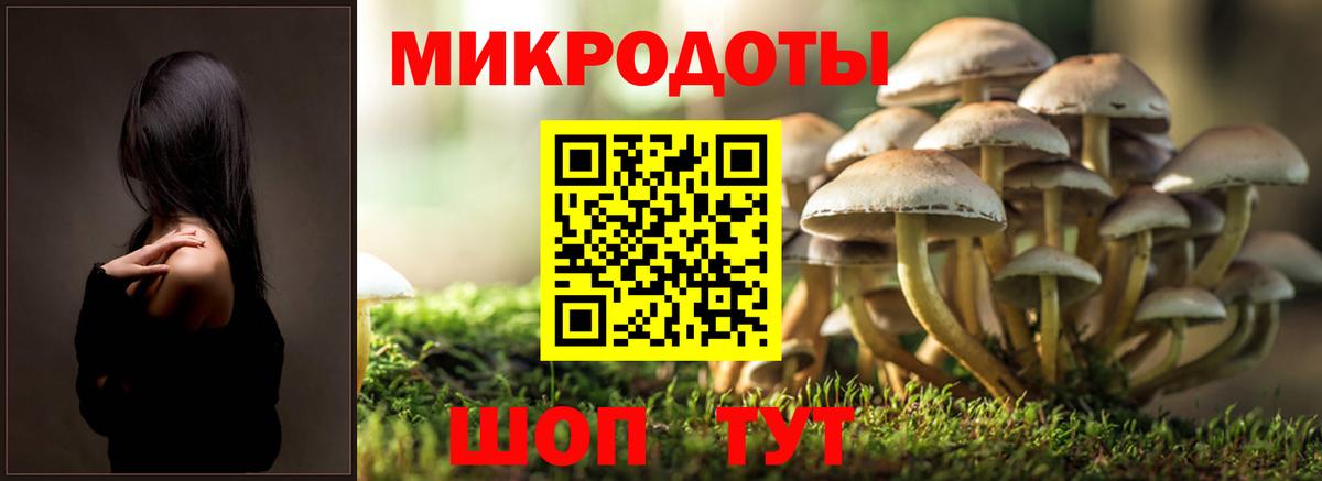 Псилоцибиновые грибы MAGIC MUSHROOMS  Галлюциногенные грибы GOLDEN TEACHER  Тольятти  Вход с VPN 